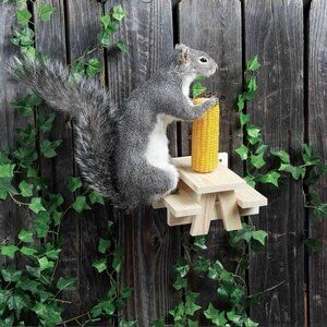 Squirrel Feeder Picnic Table